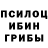 Галлюциногенные грибы Cubensis armen st